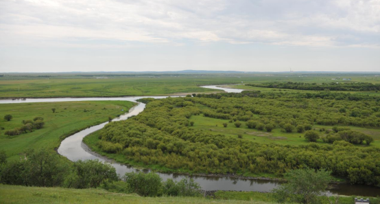 “走遍中国”采风呼伦贝尔大草原